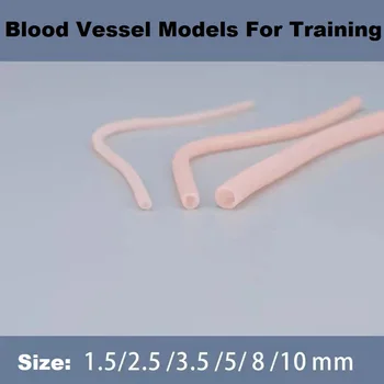 Модели на човешки кръвоносни съдове Модели за обучение по съдова хирургия